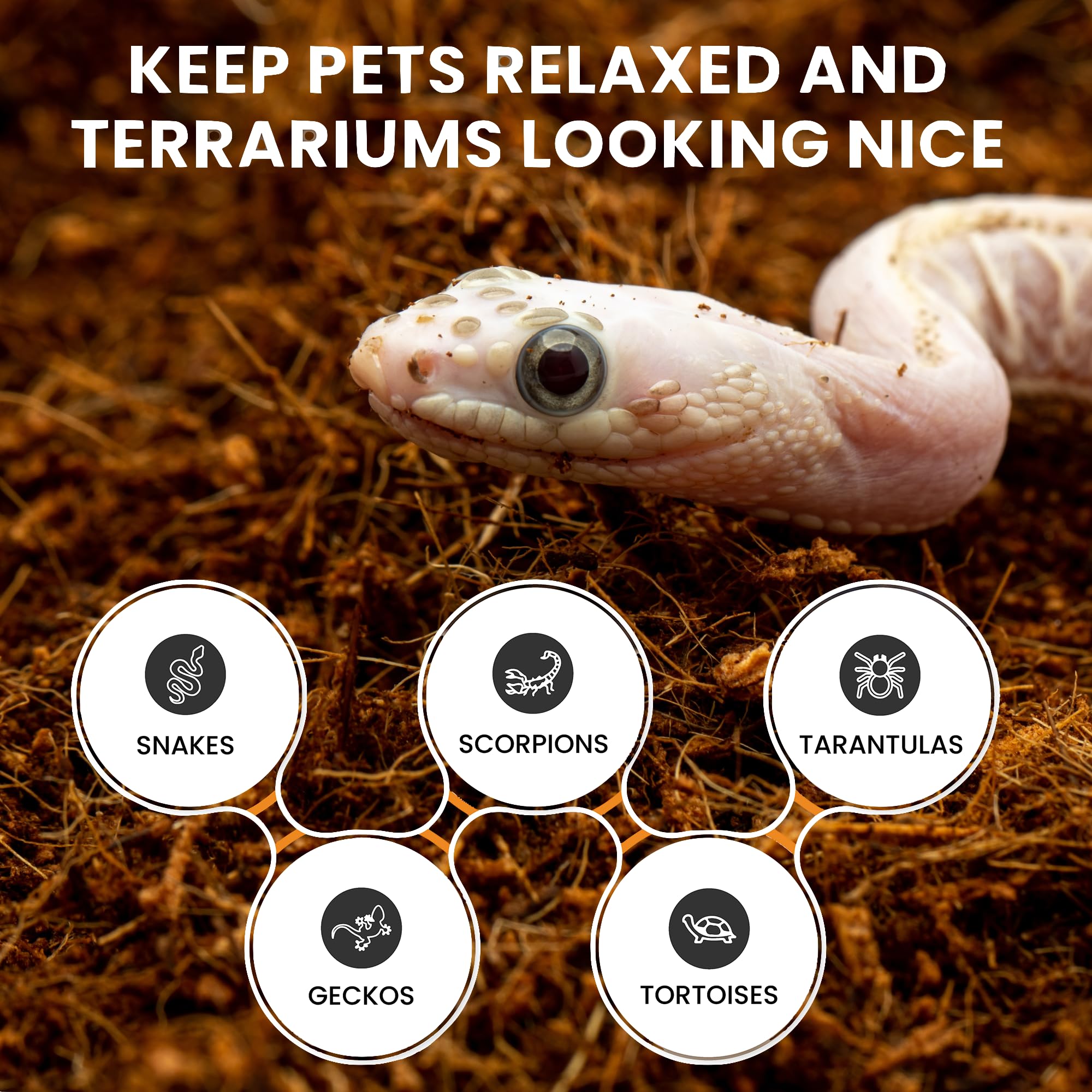 Reptiearth Reptile Bedding, Fluffy Coconut Fiber Substrate 12 Quart Organic Coco Ready To Use For Bioactive Snake Terrarium, Liz